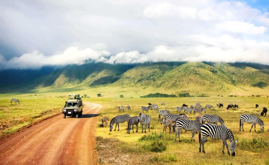 safaris in Zimbabwe