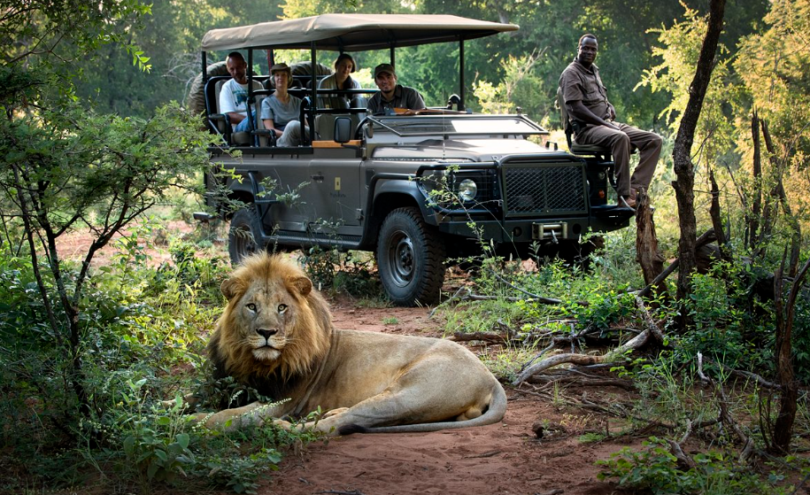 safaris in Zimbabwe