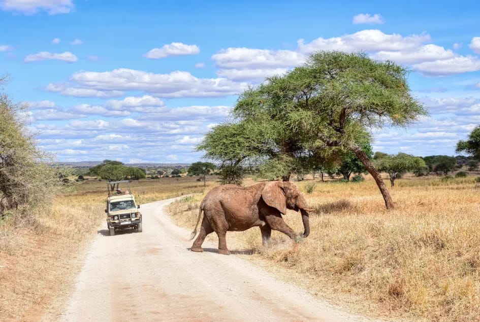 Tanzania safari and beach holidays