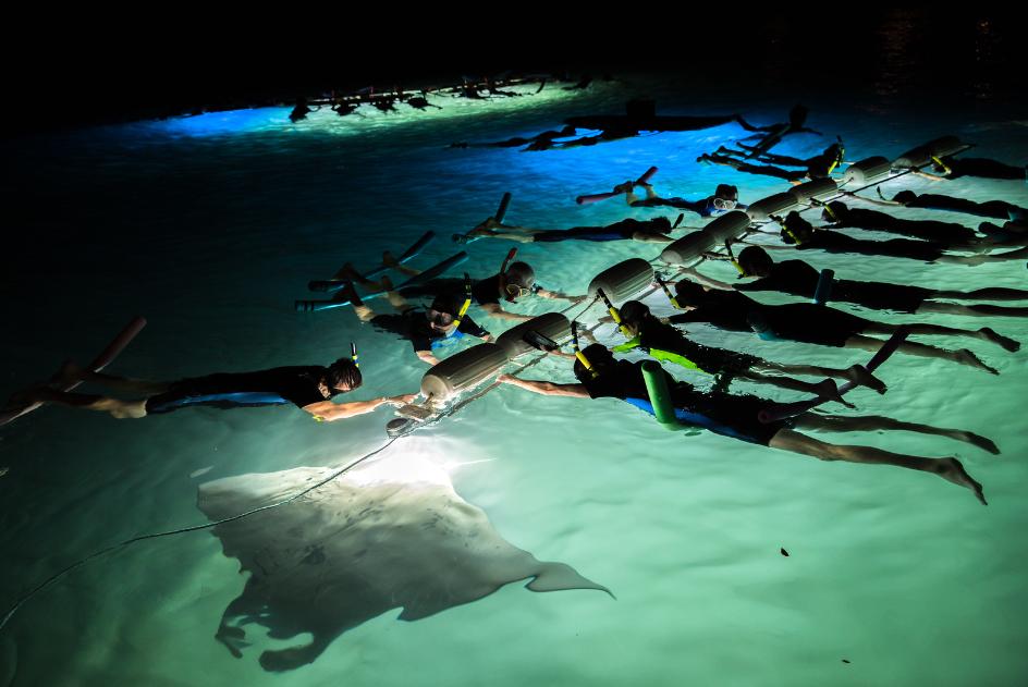 Night snorkeling