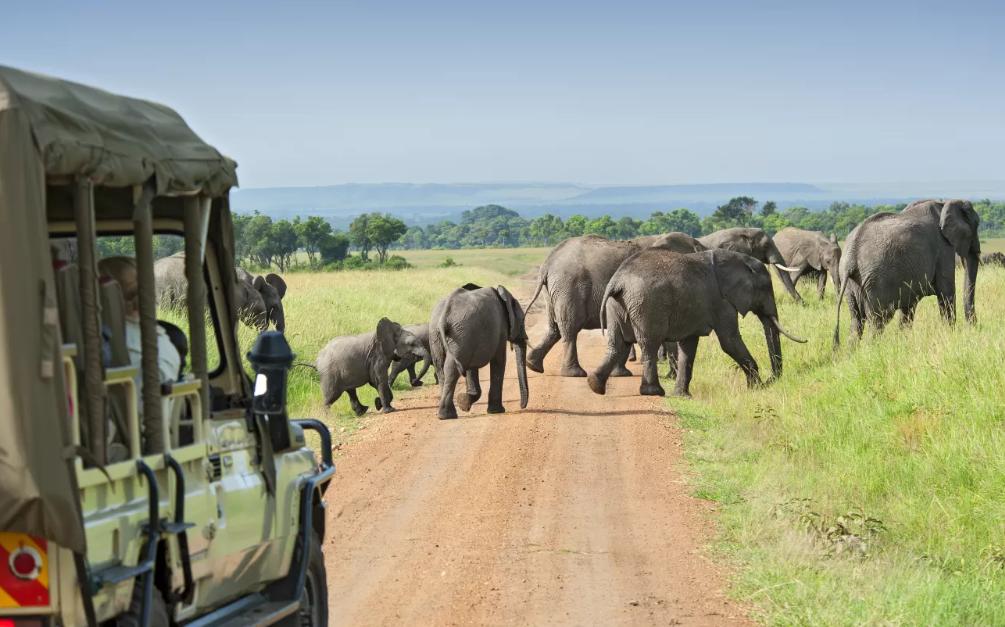 Rwanda safari holiday