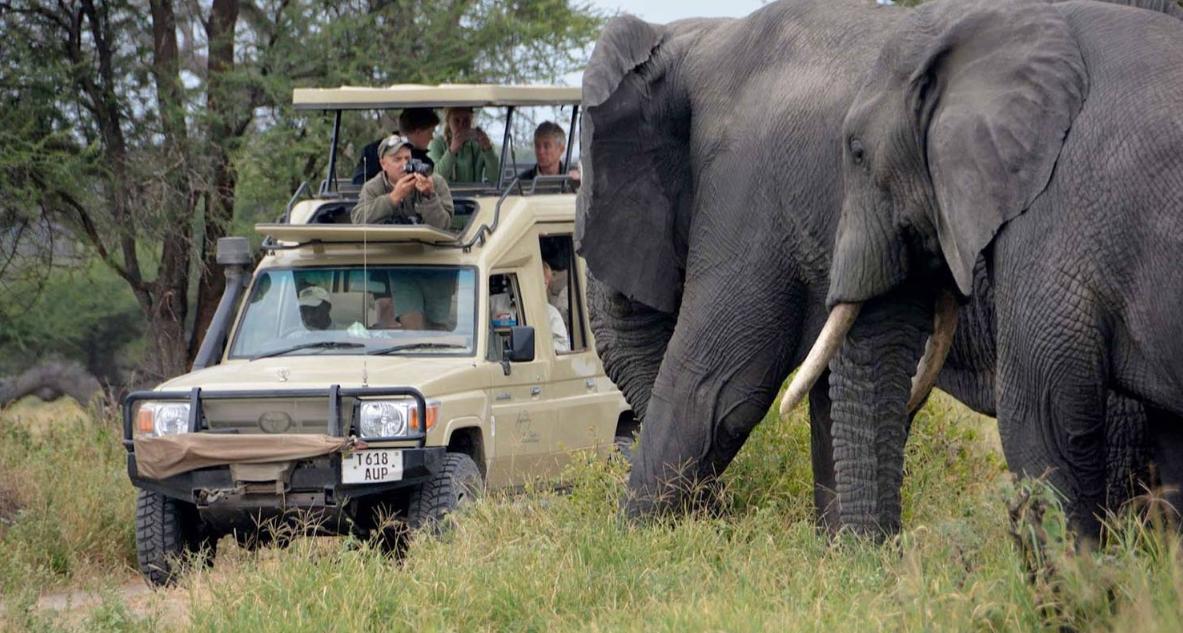 family safari holiday