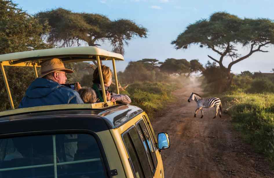 bespoke African safari specialist